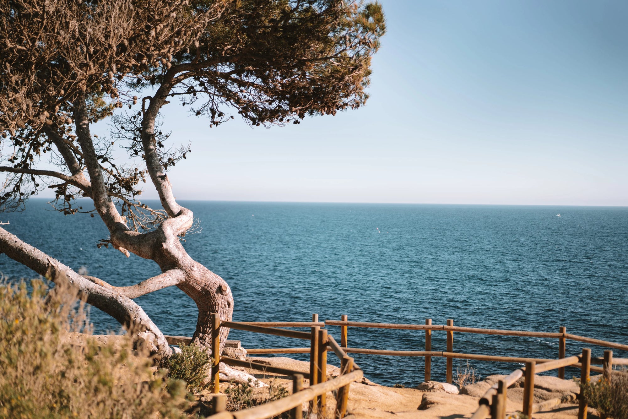 More than 75 years walking with you